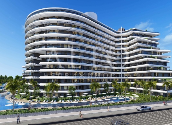 The Amour Collection