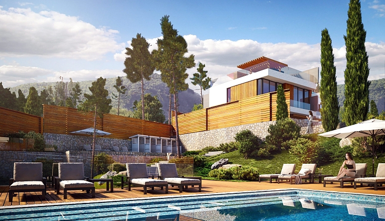 Паруса Мечты